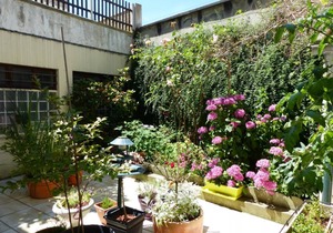 80 m² House ∙ 1 bedroom ∙ 2 guests