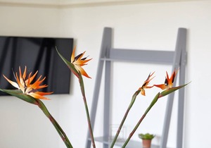 80 m² Villa ∙ 1 bedroom ∙ 4 guests
