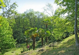 85 m² Accommodation ∙ 3 bedrooms ∙ 6 guests