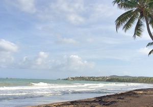 93 Crescent Cove in Humacao