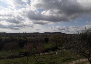 a 5 minuti dal lago di Bolsena, immerso nel verde