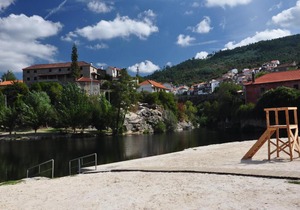 A Look into the River