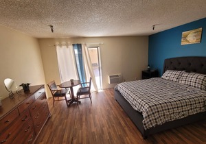 (A05) Beverly Hills Hotel Style Unit
