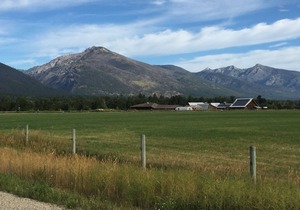 ABC acres' Yellow House - Agritourism & Adventure in Montana's Bitterroot Valley
