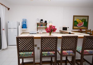Absolute Beachfront - 3 Bedroom Condominium at Del Sol