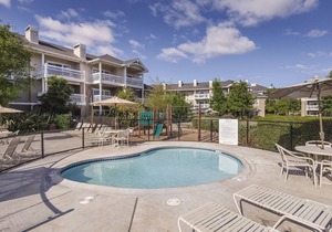 Absolutely gorgeous resort & condos !