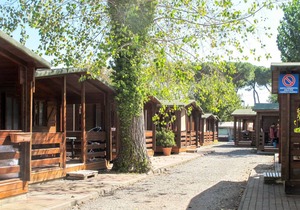 Accommodation ∙ 1 bedroom ∙ 2 guests