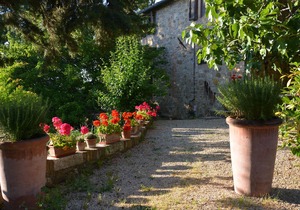 Accommodation with Shared Pool and Private Garden - LA CASA NUOVA apartment.