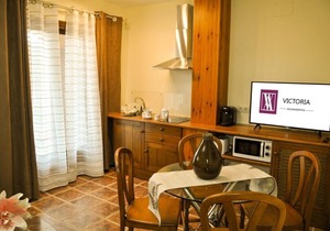 Accommodations Victoria Apartment with terrace I