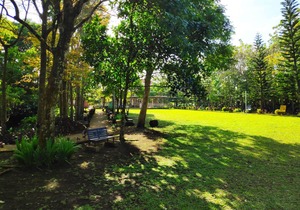 Affordable Tagaytay Home 400m away from the Malls and restaurants.