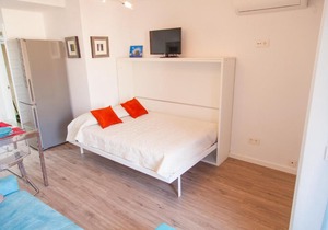 Agata 501