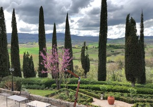 Agriturismo-Macciangrosso Country House, Casale Piccolomini. Room Six