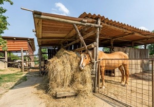 Agriturismo La Buona Terra Bio