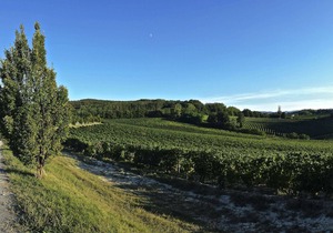 Agriturismo La Meirana