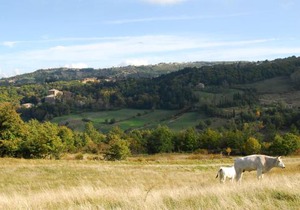 - Agriturismo La Piaggia - forest view apartment on the ground floor 2 guests