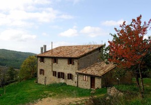 Agriturismo La Piaggia Vivo Dorcia - once upon a time apartment - 3 guests