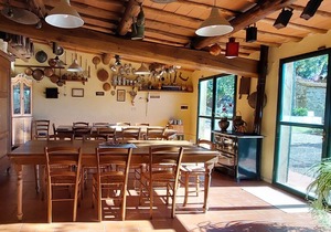 Agriturismo La Tinaia, charming apartment, very close to Florence, views, calm
