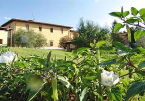 Agriturismo Poggio al Sole, Vinci