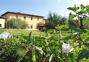 Agriturismo Poggio al Sole, Vinci