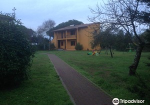 Airone Pisa Park Hotel