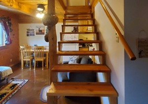Alaska Aurora Adventures Cabin BWorld class Northern lights viewing