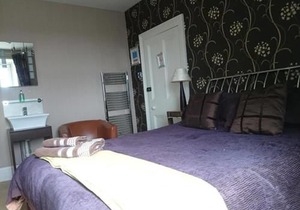 Albert Hotel