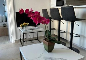 Alex Beach Apartment 203