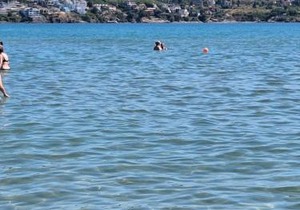 Alex Studio, Sozopol, Kavaci