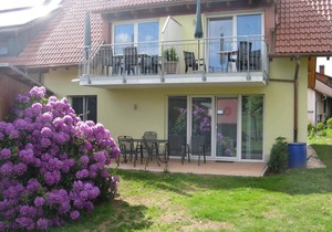 Allergy-friendly apartments 4 stars DTV