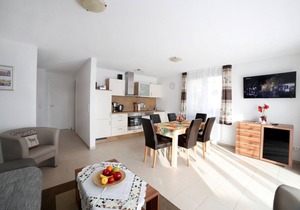 Allergy friendly apartments 5 stars DTV