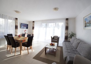 Allergy friendly apartments 5 stars DTV