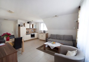 Allergy friendly apartments 5 stars DTV