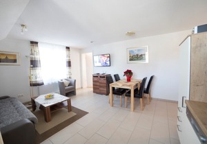 Allergy friendly apartments 5 stars DTV