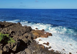 Aloha Ohia Hale