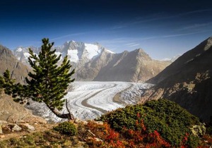 Alphütte Bielerchäller