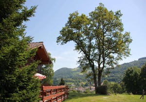 Alpine Chalet near Cafés