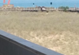 Alvor Beach Front Line Bay