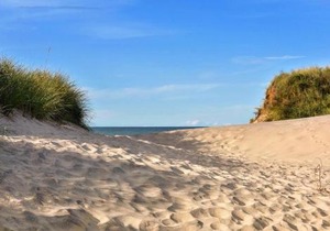 Am Sahlenburger Strand 04