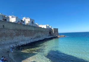 Amaremonopoli