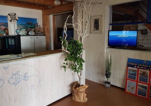 Amazing apartment in Olbia with shared pool