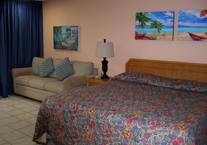Amazing Blue Ocean View- Beach Front, Wifi, Parking