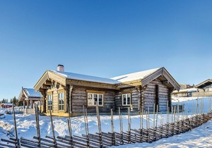 Amazing home in Sjusjøen with sauna