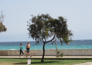 AMAZING LUXURY apartment, right on the beach, 2 bedrooms