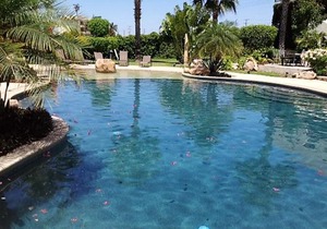 AMAZING NEW! BIG STUDIO WIFI, POOL, PET FRIENDLY 2 BLOCKS TO THE SWIMMABLE BEACH IN CABO