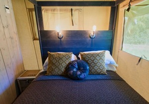 Amazing Safari Lodge With Wild Swimming Lake