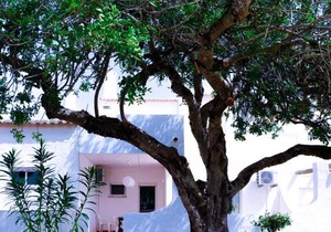Amazing T.M. Villa in Nossa Senhora da Rocha