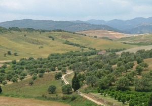 Ancient holiday home in the countryside of Stilo with garden