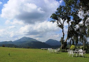 Ancoombra Tea Estate Bungalow
