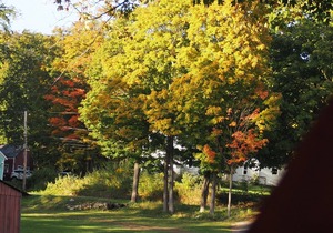 Andelyn Farm Bear Kamp Yurt. A Unique Glamping Experience in Up-State New York