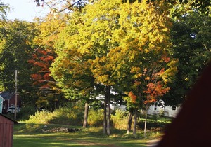 Andelyn Farm Butterfly Haven Yurt. A Unique Glamping Experience in Up-State NY